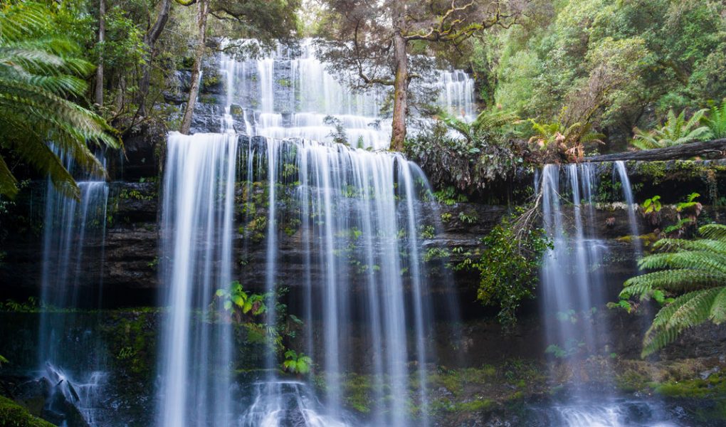 Les chutes d'eau de Russell au parc de Mont Field