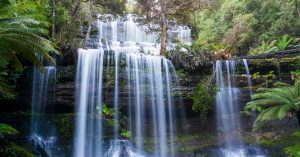 Les chutes d'eau de Russell au parc de Mont Field