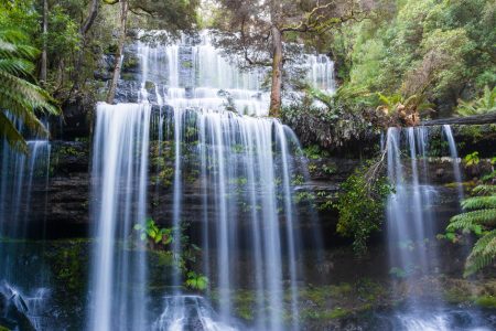 Les chutes d'eau de Russell au parc de Mont Field